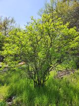 팜모닝 자유주제·사진전 게시글 이미지