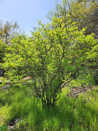 갈마골님의 자유주제 · 사진전 작성글 사진