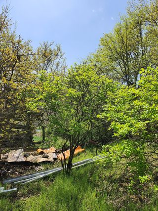 갈마골님의 자유주제 · 사진전 작성글 사진