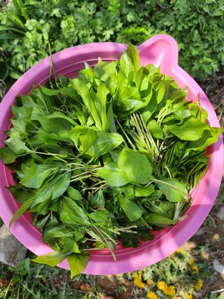 갈마골님의 자유주제 · 사진전 작성글 사진