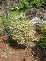 팜모닝 · 게시글 이미지