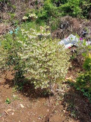 양복연님의 작성글 사진