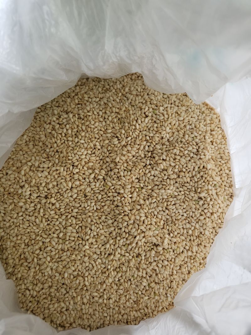 장터 상품 [찹쌀현미 20kg.판매해요] 썸네일