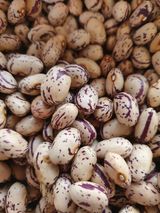 팜모닝 · 게시글 이미지