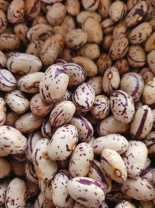 김옥자님의 작성글 사진