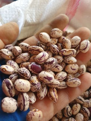 김옥자님의 작성글 사진