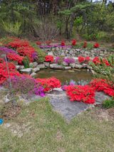 팜모닝 자유주제·자유게시판 게시글 이미지