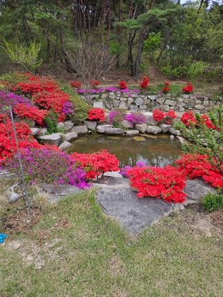 이진주님의 자유주제 · 자유게시판 작성글 사진