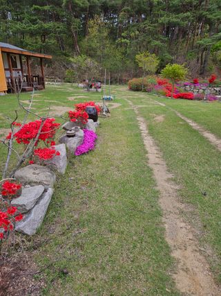 이진주님의 자유주제 · 자유게시판 작성글 사진