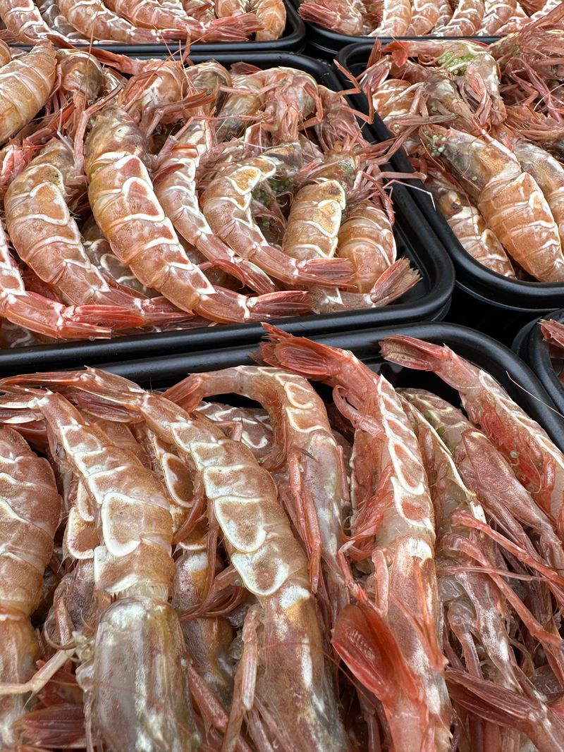 모어더더님의 장터 판매 상품 [M.N.M  귀한 명품 보리새우 횟감용 ] 첨부 사진