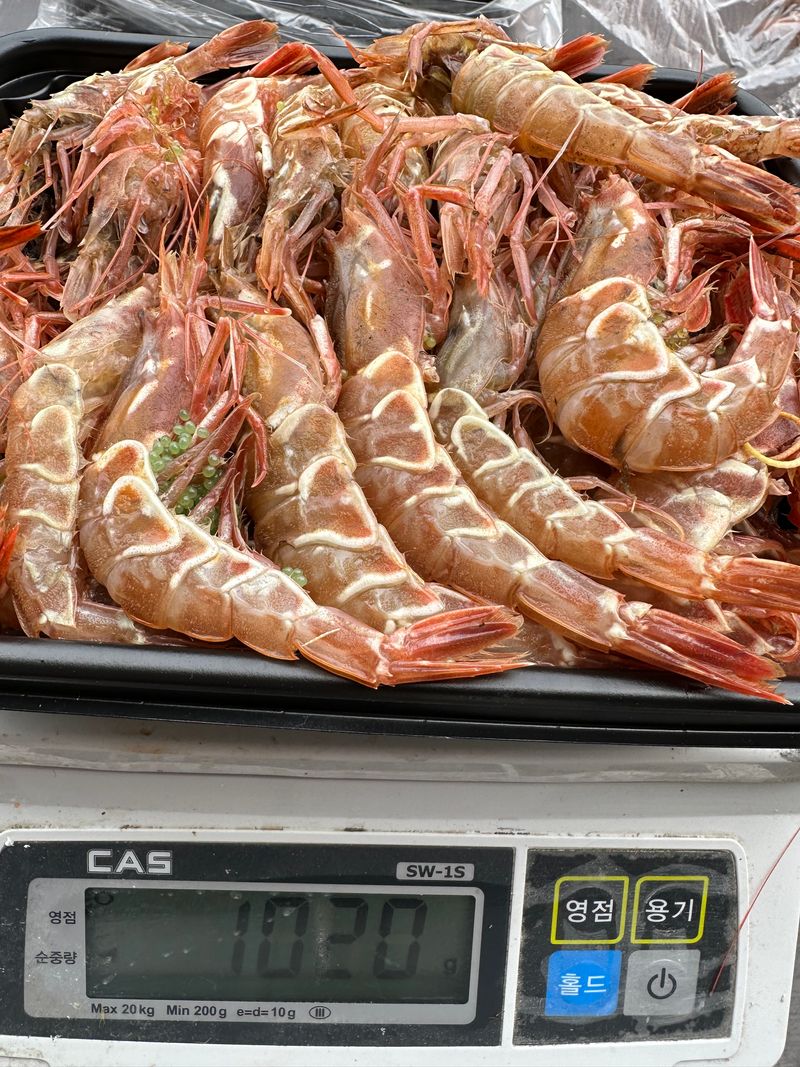 모어더더님의 장터 판매 상품 [M.N.M  귀한 명품 보리새우 횟감용 ] 첨부 사진