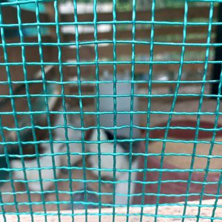 천운님의 자유주제 · 자유게시판 작성글 사진