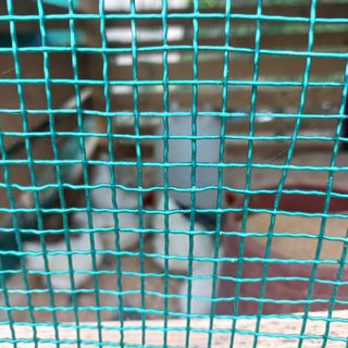 천운님의 자유주제 · 자유게시판 작성글 사진