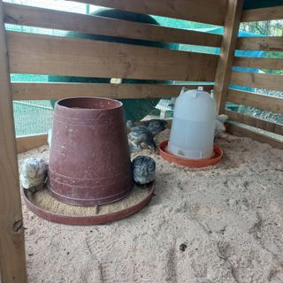 천운님의 자유주제 · 자유게시판 작성글 사진