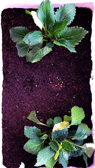 함병권님의 기타작물 · 자유게시판 작성글 사진