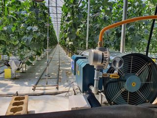 정웅석님의 오이 · 자유게시판 작성글 사진