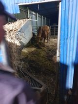 오임돈님의 우리동네·동네수다 작성글 사진