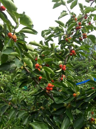 정상훈님의 기타작물 · 자유게시판 작성글 사진