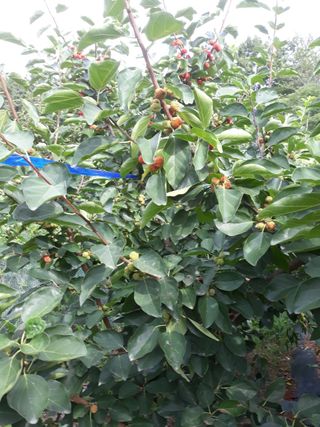 정상훈님의 기타작물 · 자유게시판 작성글 사진