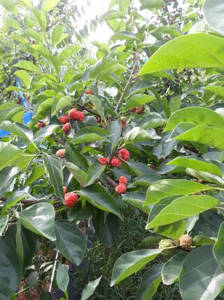 정상훈님의 기타작물 · 자유게시판 작성글 사진