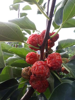 정상훈님의 기타작물 · 자유게시판 작성글 사진