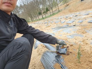 아기농부단야님의 기타작물 · 자유게시판 작성글 사진