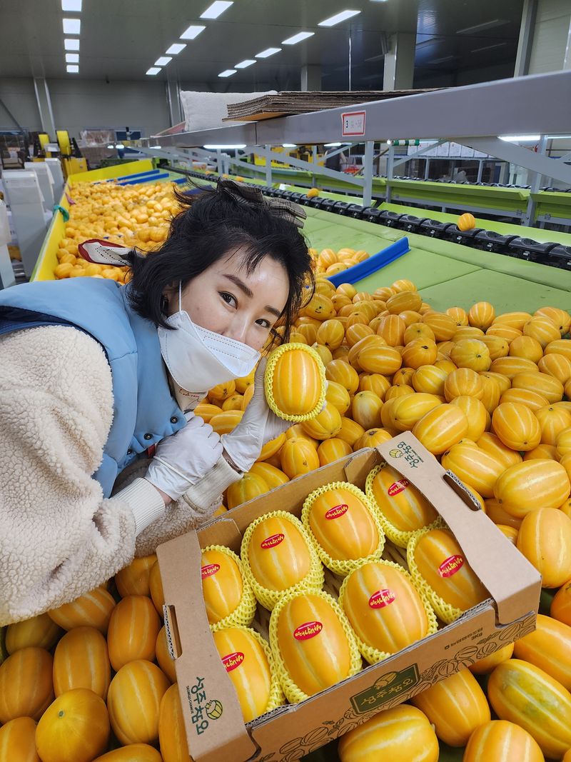 장터 상품 [[성주백가참외] 매일 새벽수확 당일발송!!] 썸네일