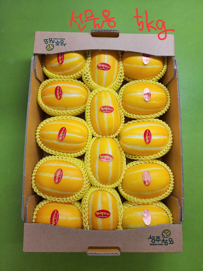 백만흠님의 장터 판매 상품 [[성주백가참외] 매일 새벽수확 당일발송!!] 첨부 사진