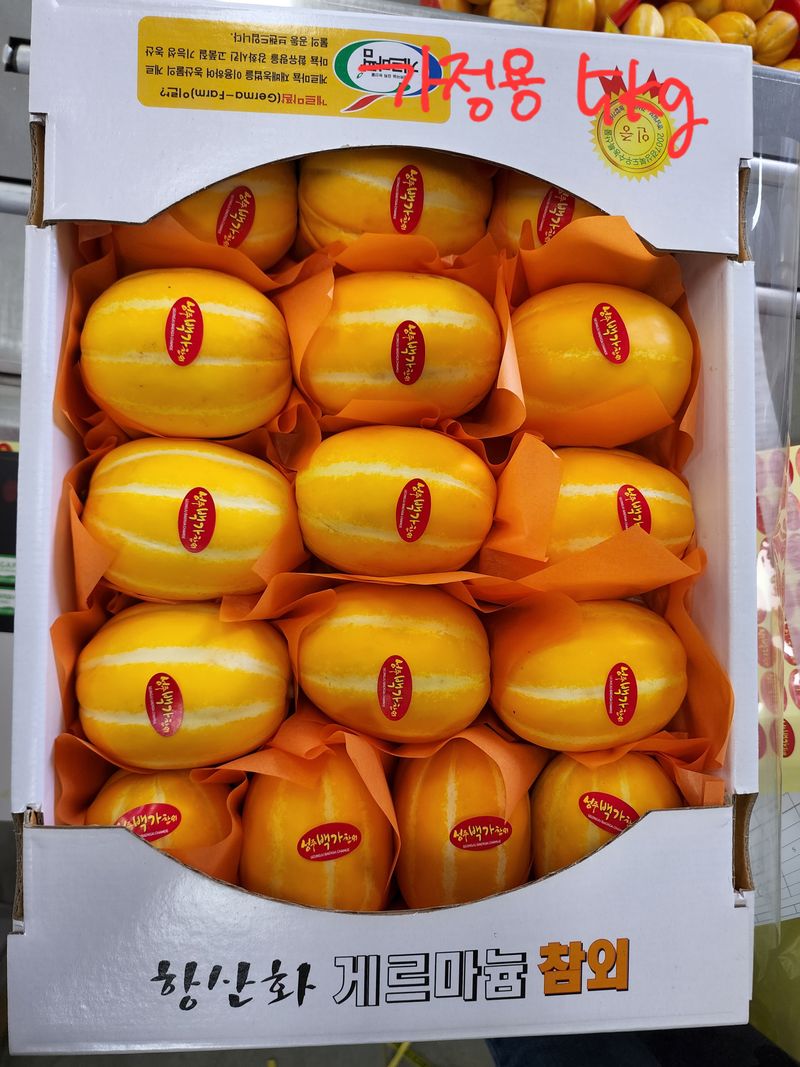 백만흠님의 장터 판매 상품 [[성주백가참외] 매일 새벽수확 당일발송!!] 첨부 사진