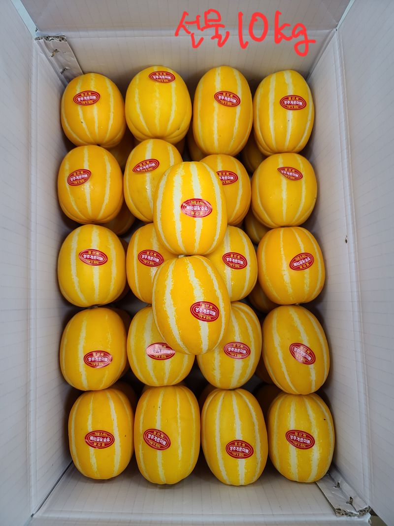 백만흠님의 장터 판매 상품 [[성주백가참외] 매일 새벽수확 당일발송!!] 첨부 사진