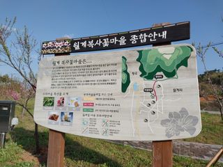 서산 밀집모자님의 우리동네 · 동네자랑 작성글 사진