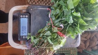 김동수님의 작성글 사진