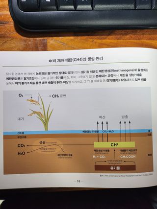 자연과의 소통님의 자유주제 · 자유게시판 작성글 사진
