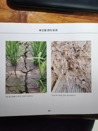 자연과의 소통님의 자유주제 · 자유게시판 작성글 사진