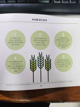 자연과의 소통님의 자유주제 · 자유게시판 작성글 사진