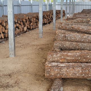 윤종만님의 버섯 · 일상 작성글 사진