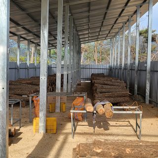 윤종만님의 버섯 · 일상 작성글 사진