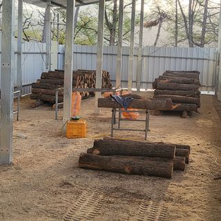 윤종만님의 버섯 · 일상 작성글 사진