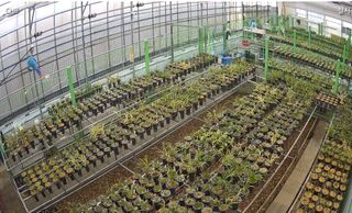 청암농원님의 자유주제 · 자유게시판 작성글 사진