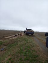 팜모닝 자유주제·자유게시판 게시글 이미지