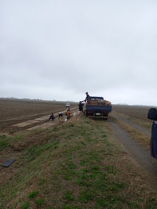 당진수농원박선이님의 자유주제 · 자유게시판 작성글 사진
