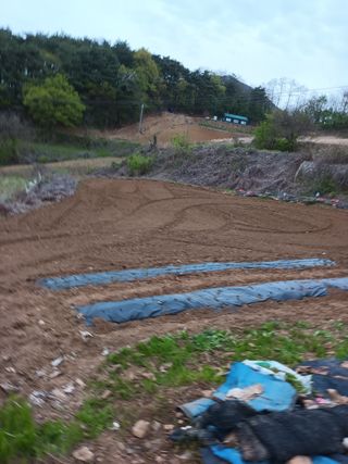 유외선님의 자유주제 · 자유게시판 작성글 사진