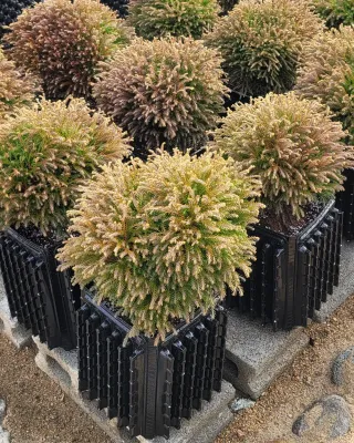 이선미님의 자유주제 · 자유게시판 작성글 사진