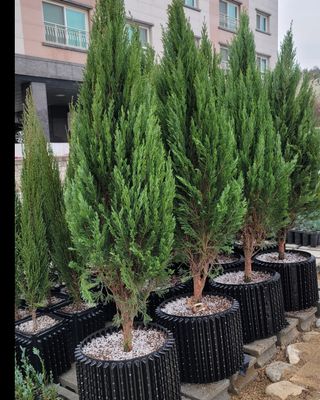 이선미님의 자유주제 · 자유게시판 작성글 사진