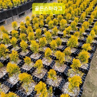 이선미님의 자유주제 · 자유게시판 작성글 사진