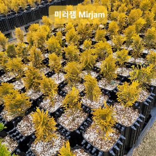 이선미님의 자유주제 · 자유게시판 작성글 사진