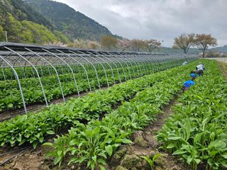 재화농원(이재권)님의 자유주제 · 자유게시판 작성글 사진