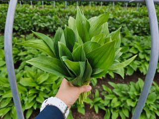 재화농원(이재권)님의 자유주제 · 자유게시판 작성글 사진