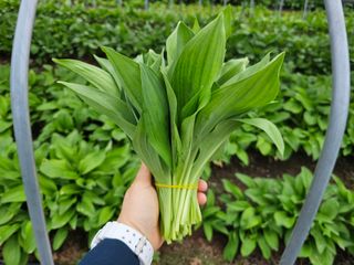 재화농원(이재권)님의 자유주제 · 자유게시판 작성글 사진