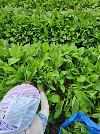 재화농원(이재권)님의 자유주제 · 자유게시판 작성글 사진